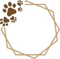 paw print frame design svg