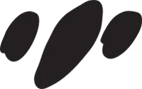 FOOTMARK