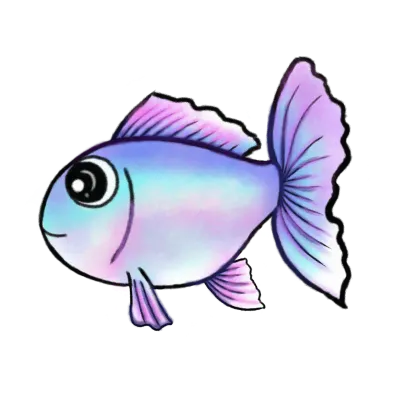 various kinds of fish
