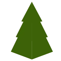 Pine Tree