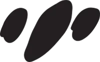 FOOTMARK