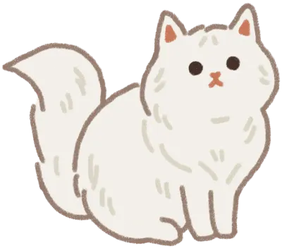 Scotish fold cat
