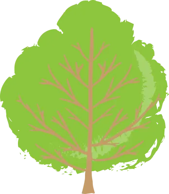 tree png image