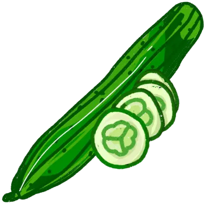 cucumber