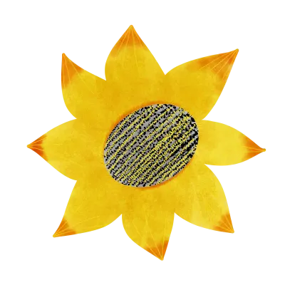 Sunflowers,trophy winner,water drop
