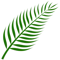 나뭇잎,leaf