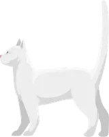 breed cats