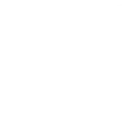 butterfly line art
