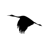 새
