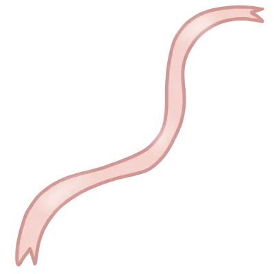 Ribbon pink elements icon