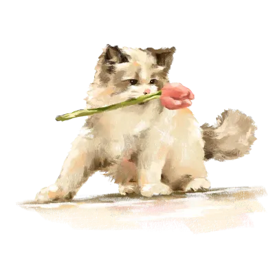 Cat cartoon