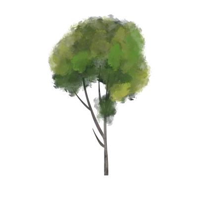 Tree Watercolor