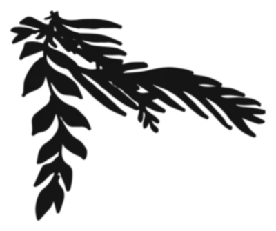 leaf shadow element
