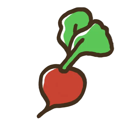 Beet Root01