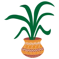 Boho Houseplant Decorations