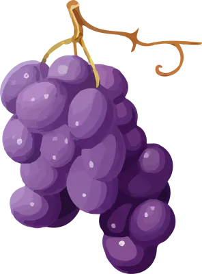 grape_170