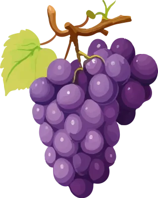 grape_171