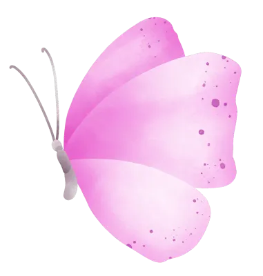Pink Butterfly