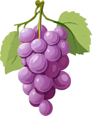 grape_167
