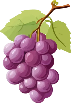 grape_175