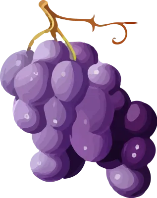 grape_173