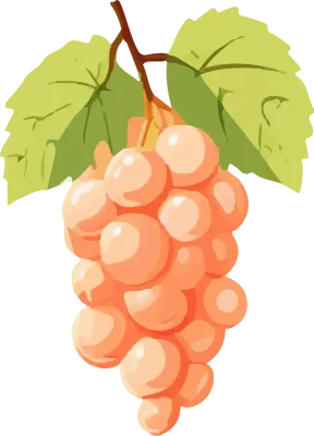 Grapes