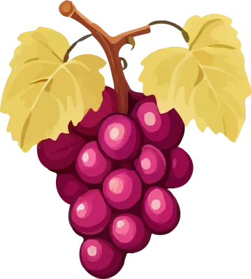 grape_163