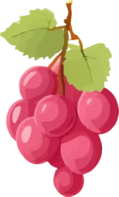 grape_165