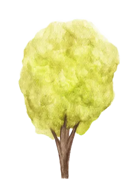 Watercolor painting of tree.