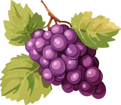 grape_162