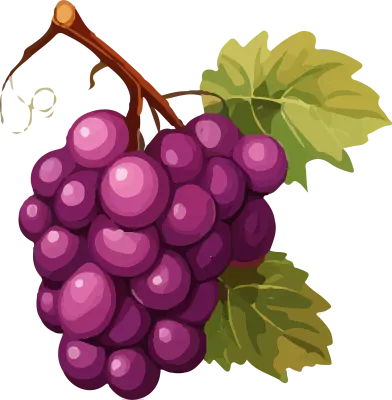 grape_161