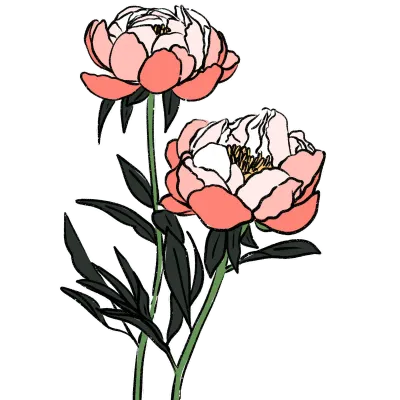 꽃