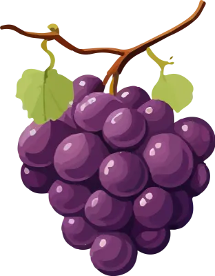grape_174