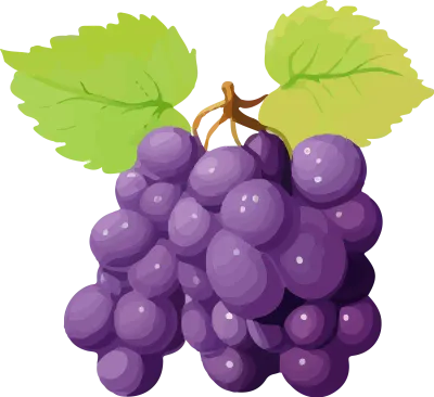 grape_172