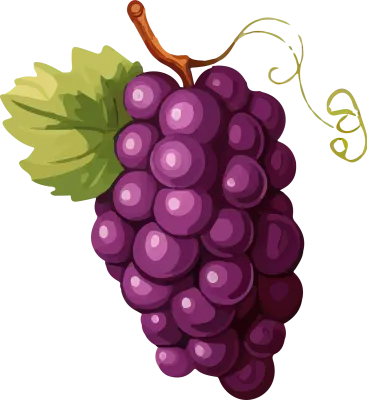 Grapes
