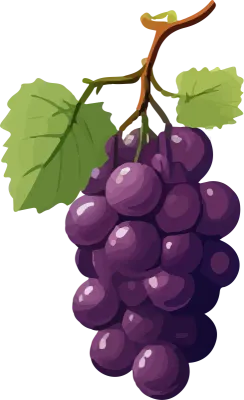 Grapes