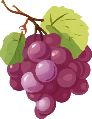 grape_176