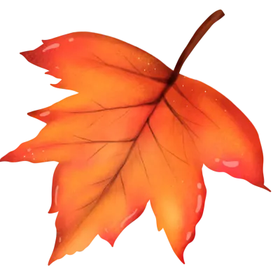 leaf autumn