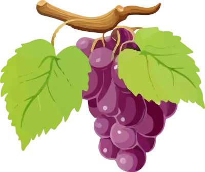 Grapes