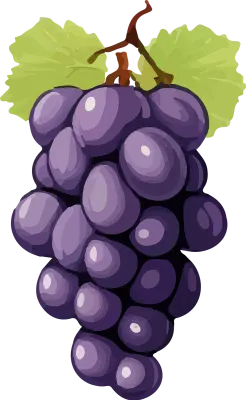 grape_159