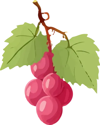 grape_166