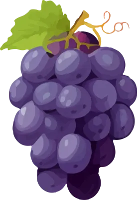 Grapes