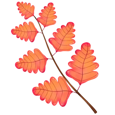 leaf autumn