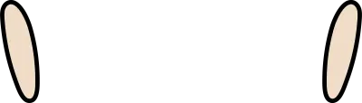 일반형