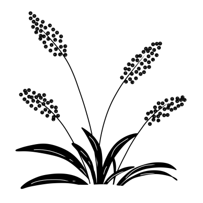 leaf lineart