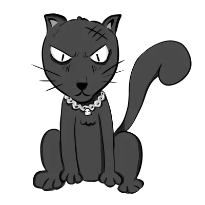 black cat