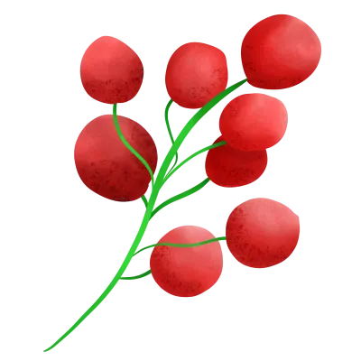 Christmas holly 3 3-September-23