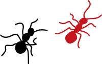 ant