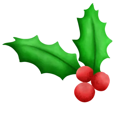 Christmas holly 1 3-September-23