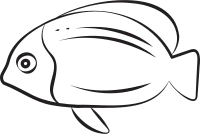 fish 2 15 7 66